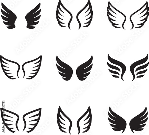 Elegant Wing Designs A Collection of Feathered Motifs