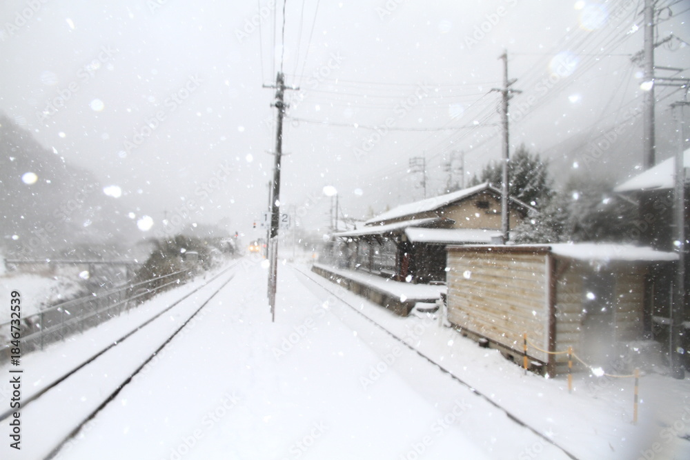 Fototapeta premium 雪国