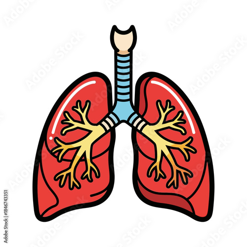 Stylized Pulmonary System Illustration for Educational Purposes Showing Respiratory Anatomy