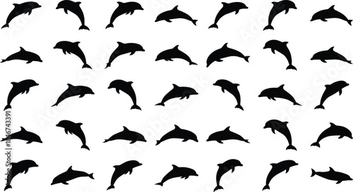 Dolphin silhouette grid, leaping poses, swimming icons, marine animal pattern, black sea life, ocean wildlife illustration
