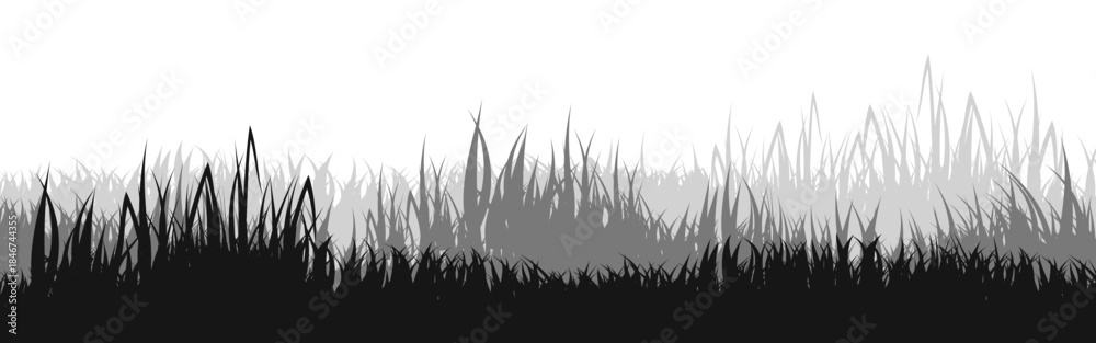 Fototapeta premium Meadow silhouette with grass, plants on plain. Panoramic summer lawn landscape with herbs, various weeds. Herbal border, frame element. Black horizontal banners. Vector illustration