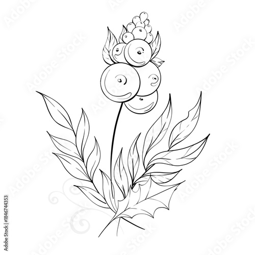 Berries and Leaves Illustration for Coloring Detailed Line Art for Relaxation and Creativity Perfect for All Ages
