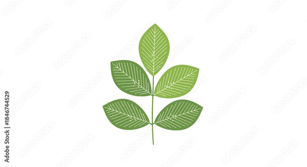 Obraz premium Simple and elegant green sprig with textured leaves, an isolated vector icon representing nature, growth, and the environment.