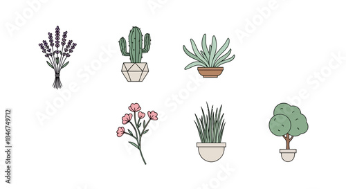 Botanical illustrations collection showcasing diverse plants and floral elements in simplistic style