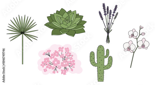 Botanical collection featuring diverse plant species in soft artistic style illustration