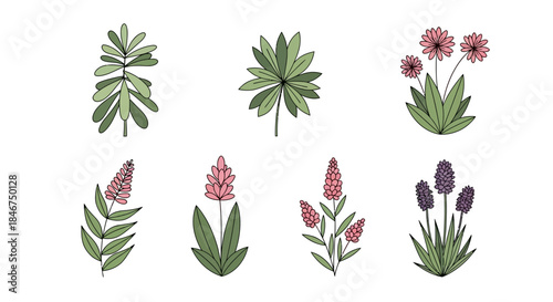 Charming botanical illustration featuring a variety of colorful blooming plants and green foliage