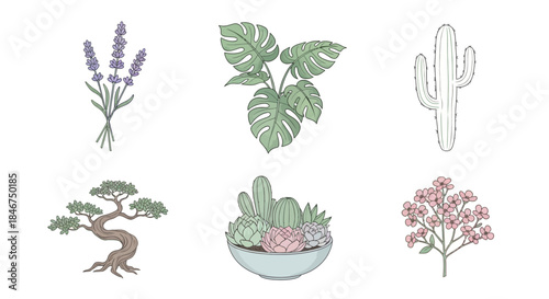 Delicate botanical illustration of diverse plant species: lavender monstera cactus and bonsai