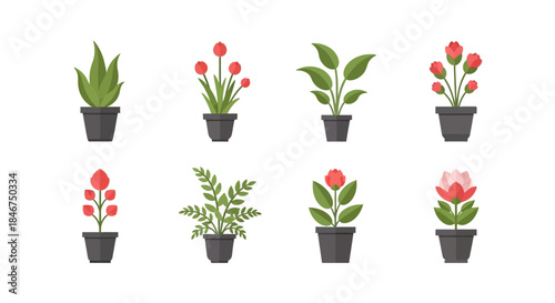 Delightful potted plants with charming blooms, a colorful assortment of indoor greenery and