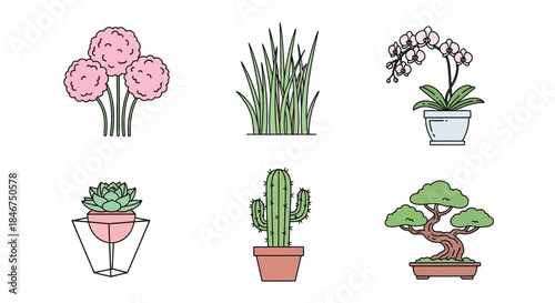 Diverse Potted Plant Illustrations Showcase a Varied Collection of Indoor Greens and Flowers