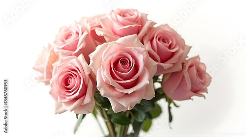 Pink Rose Bouquet with Soft Petals on White Background for Floral and Romantic Themes