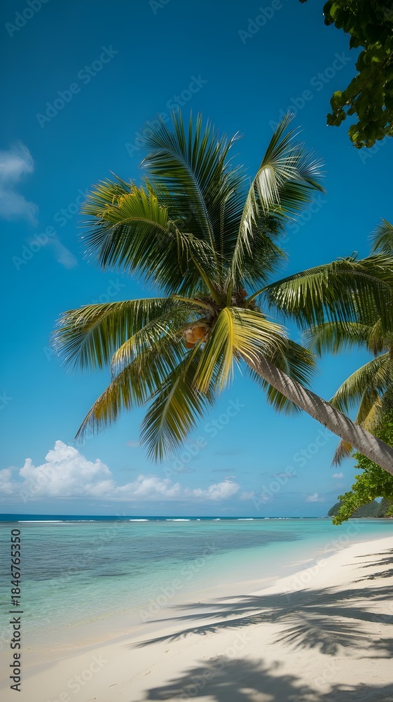 Obraz premium a stunning tropical beach with palm trees