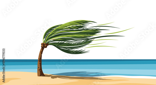 Single coconut palm tree on a sandy beach bending in a strong wind, with the ocean and a clear sky in the background.