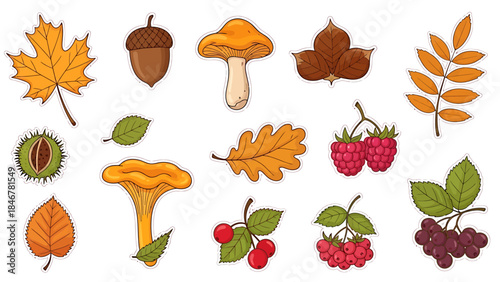 Autumn Leaves and Forest Fruits Collection Acorns, Berries, Mushrooms, and Maple Leaves for Seasonal Decor