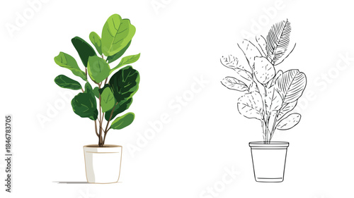 Green Leaves Potted Plant Photo with Picture Frame, Botanical Wall Art Concept