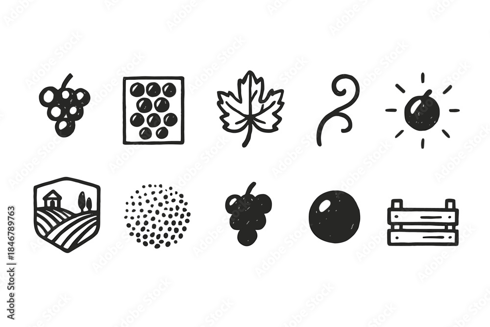 Obraz premium Wine and vineyard outline icon set. Grapes, vine, and winery symbols collection