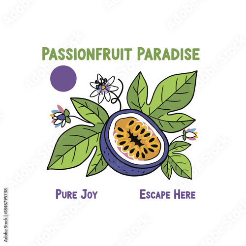 Summer fruits vector print designs. Organic food artwork for for t-shirt. Nature fruit print design. Fruit vintage t-shirt design. Retro fruit tropics. Local farmer markets.