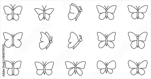 Design Flexibility: Butterflies with Multiple Viewpoints