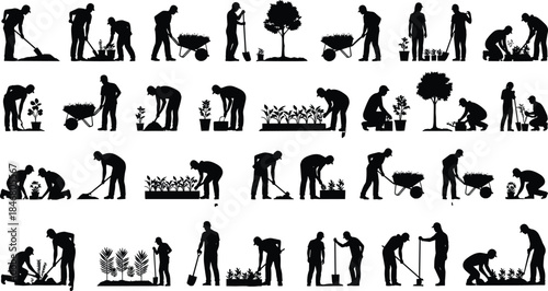 Black Silhouette Vector Set: Gardeners, Farmers, and Laborers Planting, Digging, and Working with Plants, Tools, and Wheelbarrows in Agriculture and Horticulture.