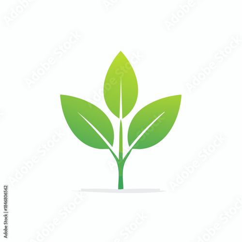 Festive Red and Green Elf Hat with Golden Bell, isolated white background.