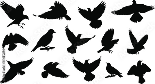 Collection of black bird silhouettes in various flying poses
