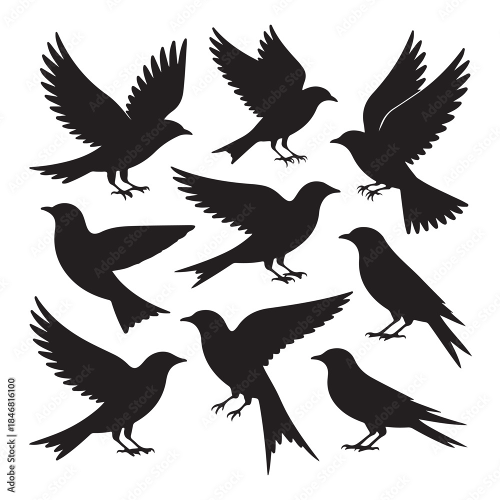 Obraz premium Birds silhouette (1).eps