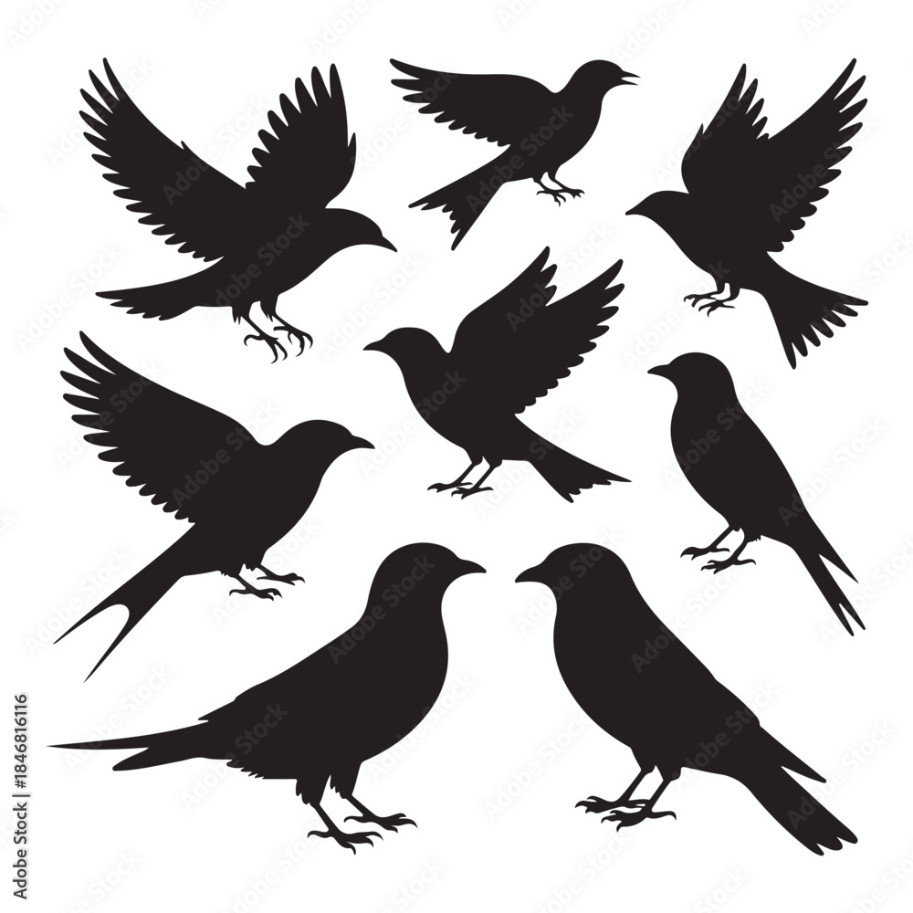 Fototapeta premium Birds silhouette (3).eps