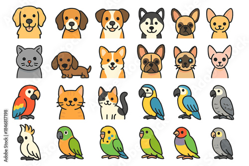 Cartoon animals showing different dog and cat breeds with birds in playful arrangement on a simple background