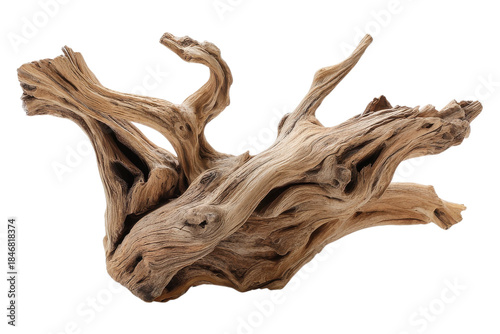 Single Driftwood Branch For Decorative Use On Transparent Background