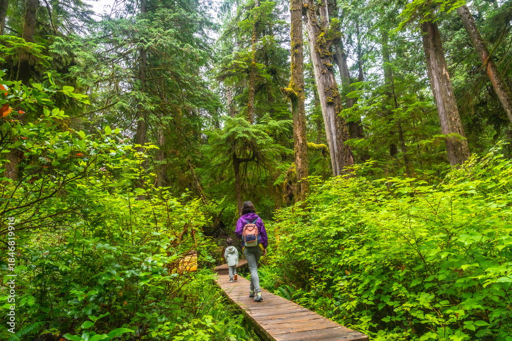Fototapeta premium Tourists walking on wooden pathway in rainforest trail near ucluelet, british columbia