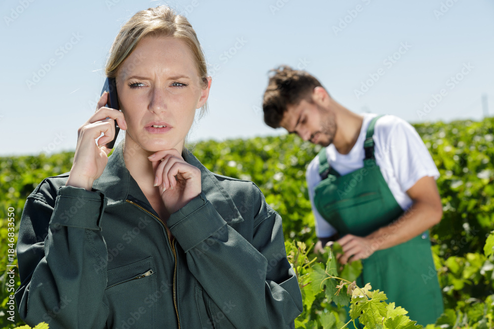 Fototapeta premium female vintner talking on mobile phone in vineyard