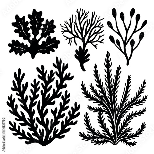 Set of black seaweed silhouettes and marine plants, vector illustration of underwater algae and coral leaves