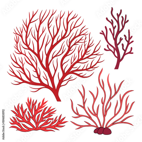 Collection of red sea corals and branching reef plants, colorful marine nature vector illustration set