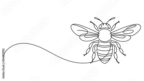 minimal continuous line art flying bee with trail, hand drawn insect illustration symbolizing nature, ecology and pollination