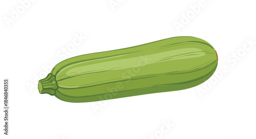 Fresh green zucchini squash vegetable isolated on a white background for healthy eating and cooking concepts.