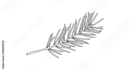 Minimalist black and white line art illustration of a fresh rosemary sprig for culinary and botanical designs.