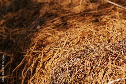 Pile of dry rice straw placed outside with sunlight blur background