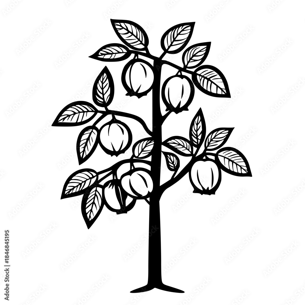 Obraz premium Silhouette Jabuticaba tree fruit | Clean, isolated vector art for creative projects.