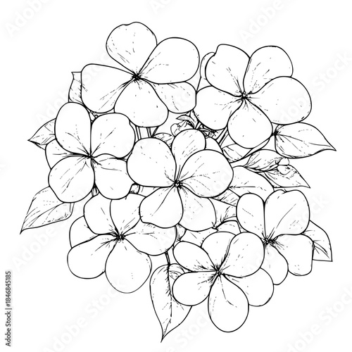 Elegant Silhouette Potted Ixora Plant Bloom | Clean, isolated vector art for creative projects.