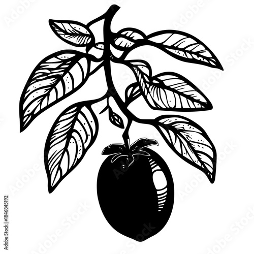 Elliptical Silhouette Olive | Clean, isolated vector art for creative projects.