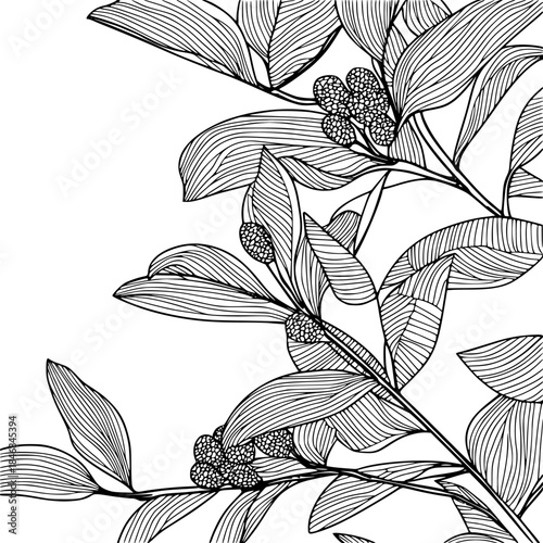 Elegant Silhouette Flowering Plant | Clean, isolated vector art for creative projects.