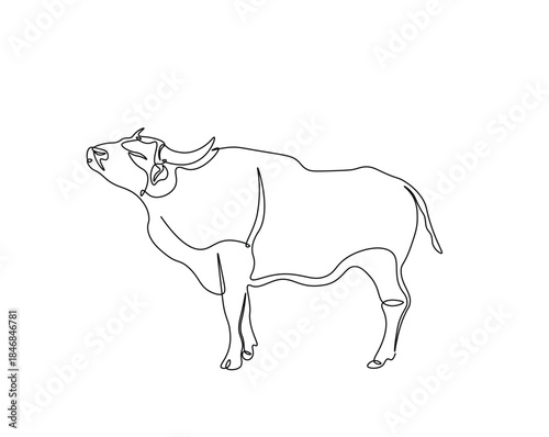 One continuous line drawing of wild bull. cow - animal outline drawing illustration.
