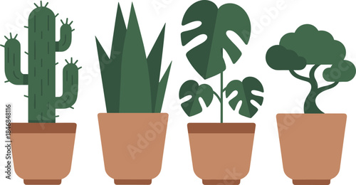 Minimalist illustration of potted houseplants, cactus, snake plant, monstera and bonsai