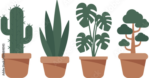 Minimalist illustration of potted houseplants, cactus, snake plant, monstera and bonsai