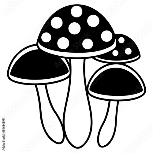 vector illustration of mushroom