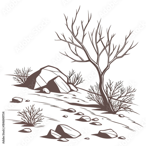 Desert landscape with rocky ground and bare shrubs
