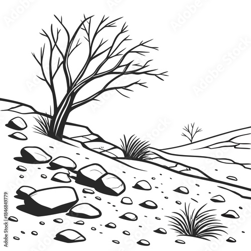Rocky desert floor with scattered shrubs and bare trees