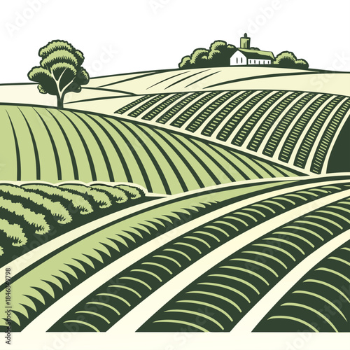 Rolling farmland with tractor lines and rural house