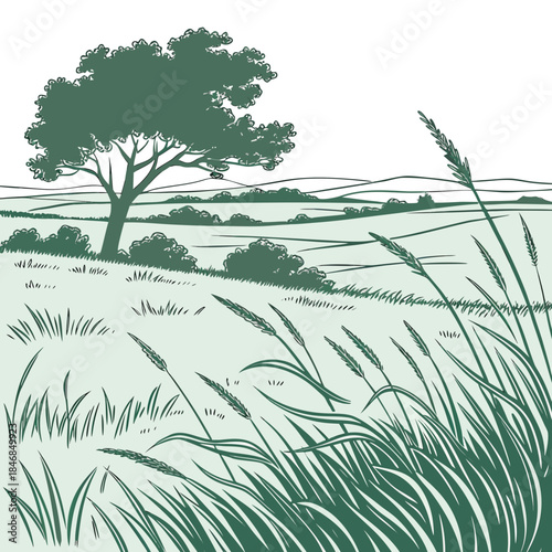 Green of tree and grass on prairie landscape