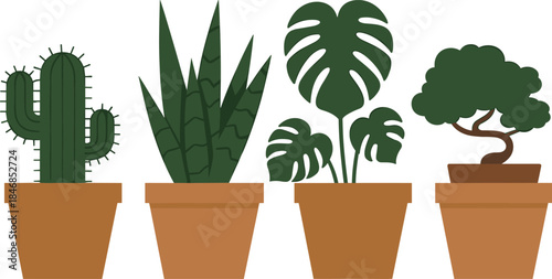 Minimalist illustration of potted houseplants, cactus, snake plant, monstera and bonsai