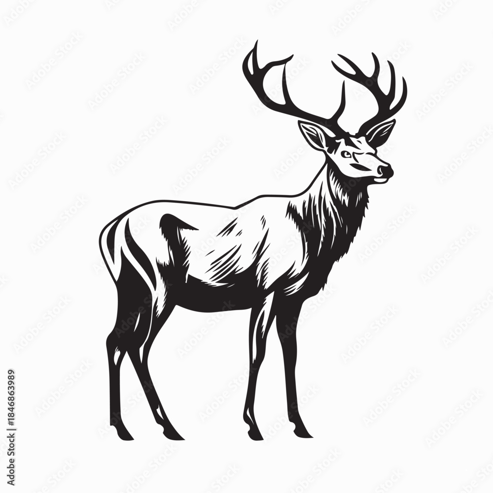 Obraz premium Deer silhouette vector on white background.